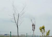 景區護欄網顏色如何進行選擇？