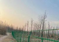 框架護欄網為什么經常做成1.8米高？